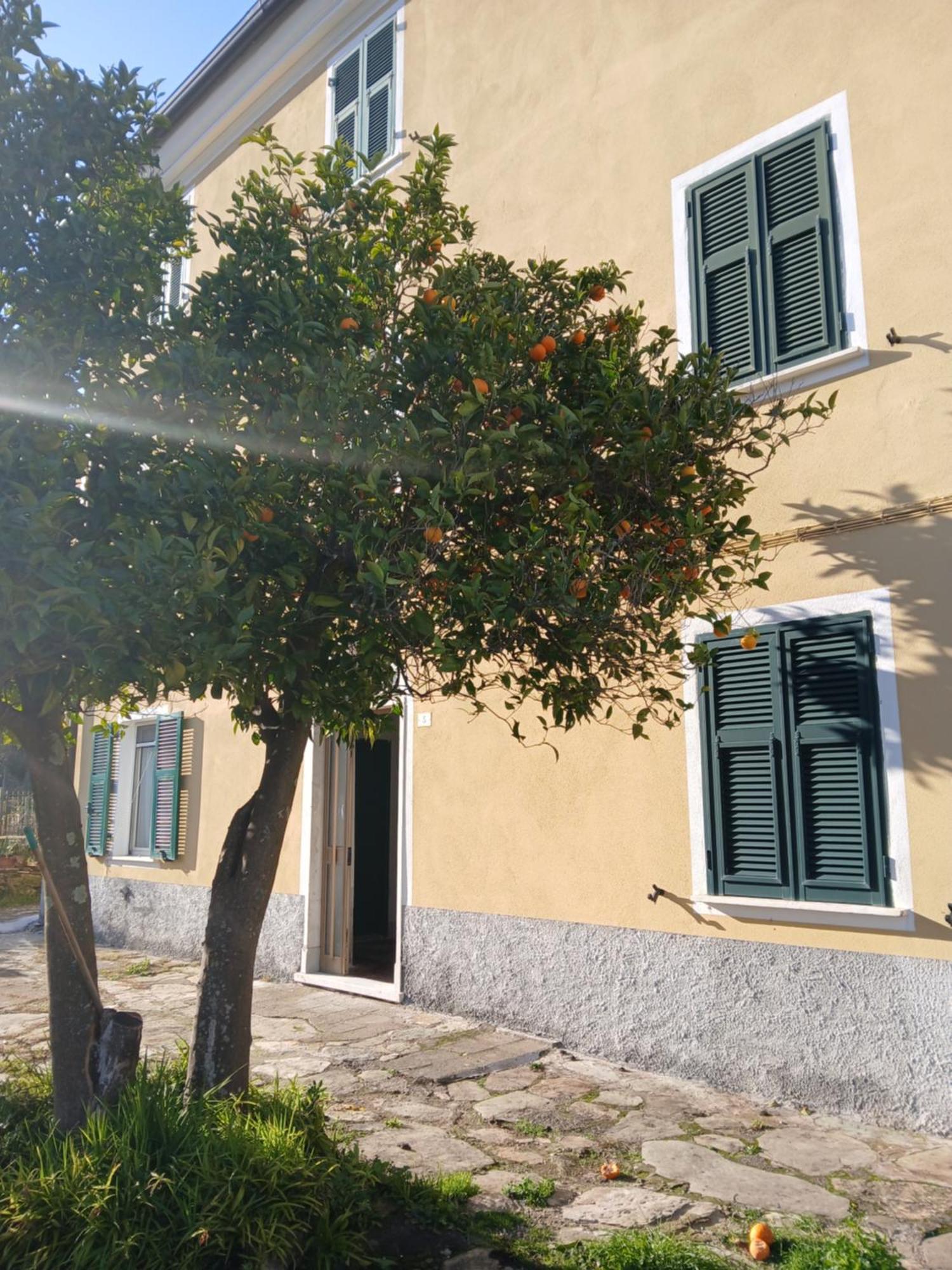Casa Misha Tra 5 Terre E Versilia Bocca di Magra Eksteriør billede